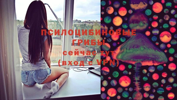таблы Пересвет