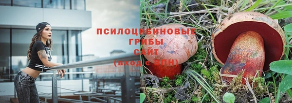 таблы Пересвет