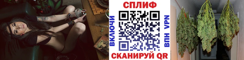 купить   Богучар  Конопля индика 